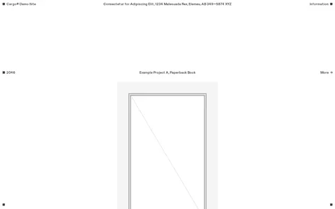 Wireframe B217 template preview