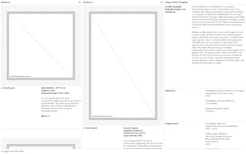 Wireframe M069 template preview