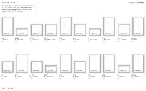 Wireframe P953 template preview