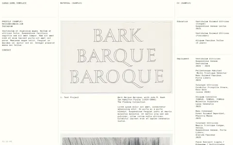 Template K384 template preview