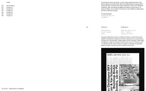 Template L384 template preview