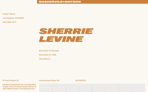 Graphic E240 template preview