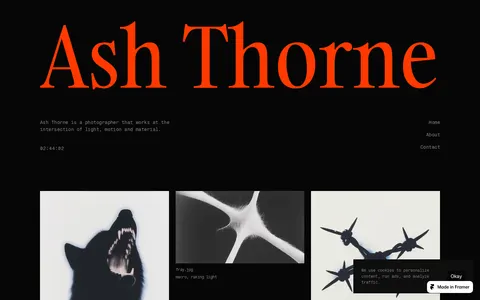 Ash Thorne template preview