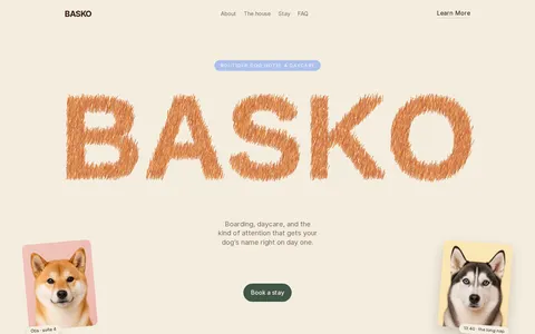 Basko template preview