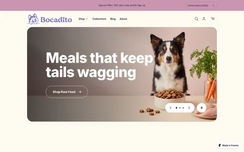Bocadito template preview