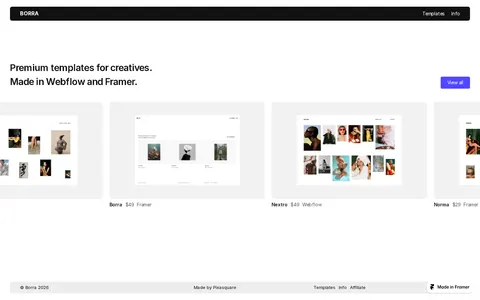 Borras template preview