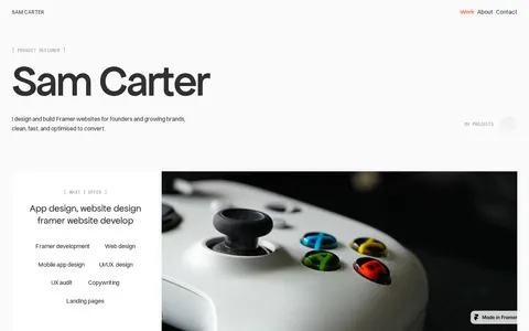 Carter template preview