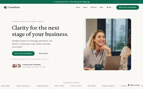 Consultants template preview