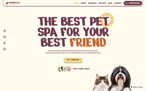Groomer template preview