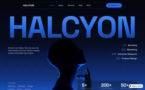 Halcyon X template preview