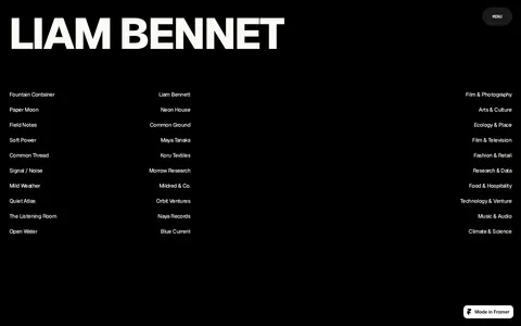 Liam Bennet template preview