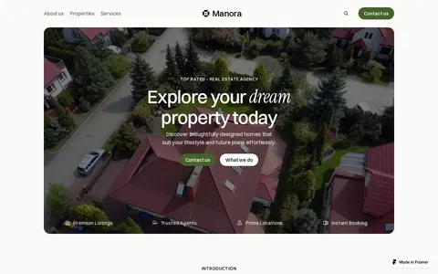 Manora template preview