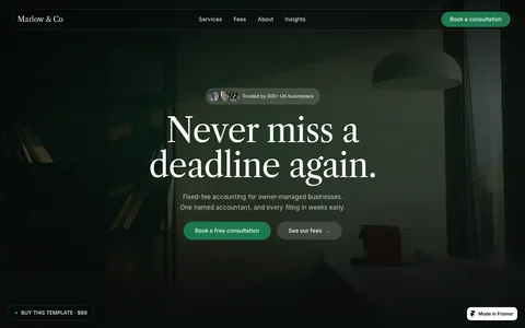Marlow & Co template preview