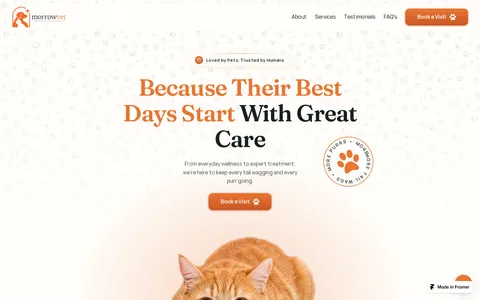 MorrowVet template preview