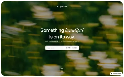 Openlist - Waitlist template preview