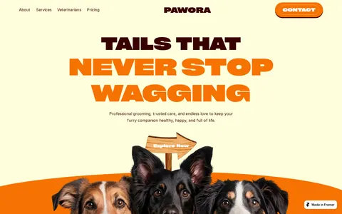 Pawora template preview