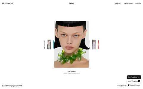 Supermodel template preview