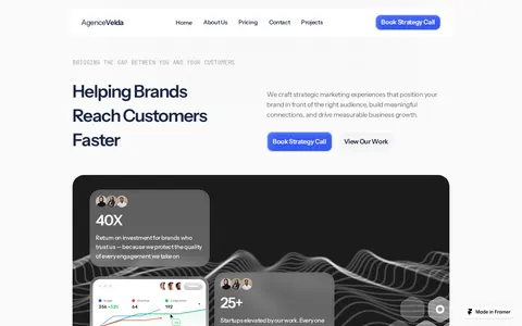 Verity Wealth template preview