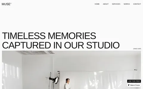 Zeno X template preview