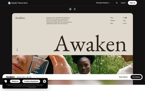 Awaken template preview