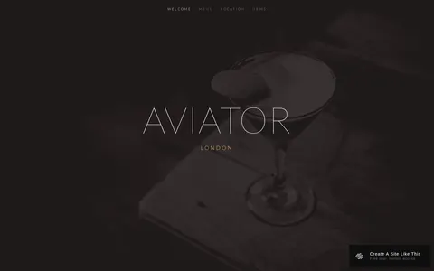 Aviator template preview