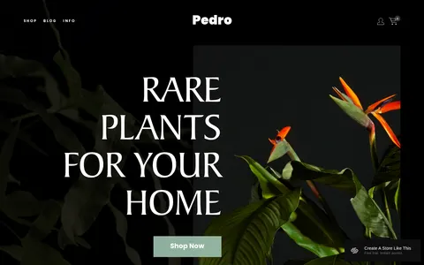 Pedro template preview