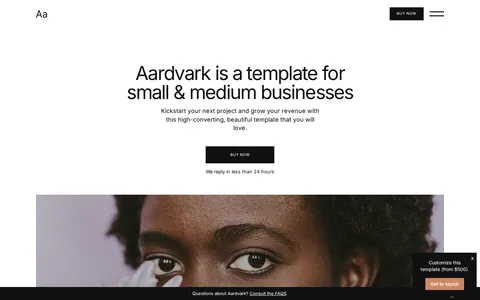 Aardvark - Professional Services Website Template template preview