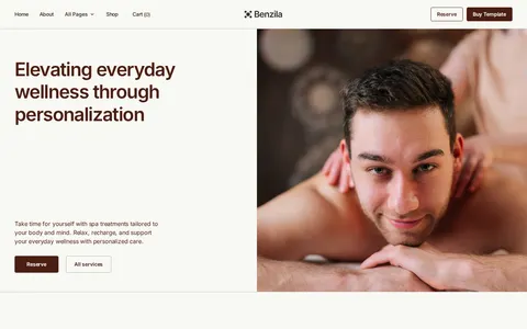 Benzila - Website Template template preview
