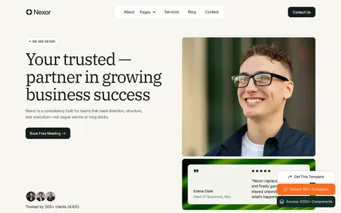 Nexorr - Portfolio & Agency Website Template template preview