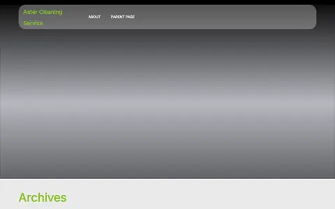Aster Cleaning Service template preview