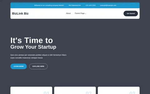 BizLink Biz template preview