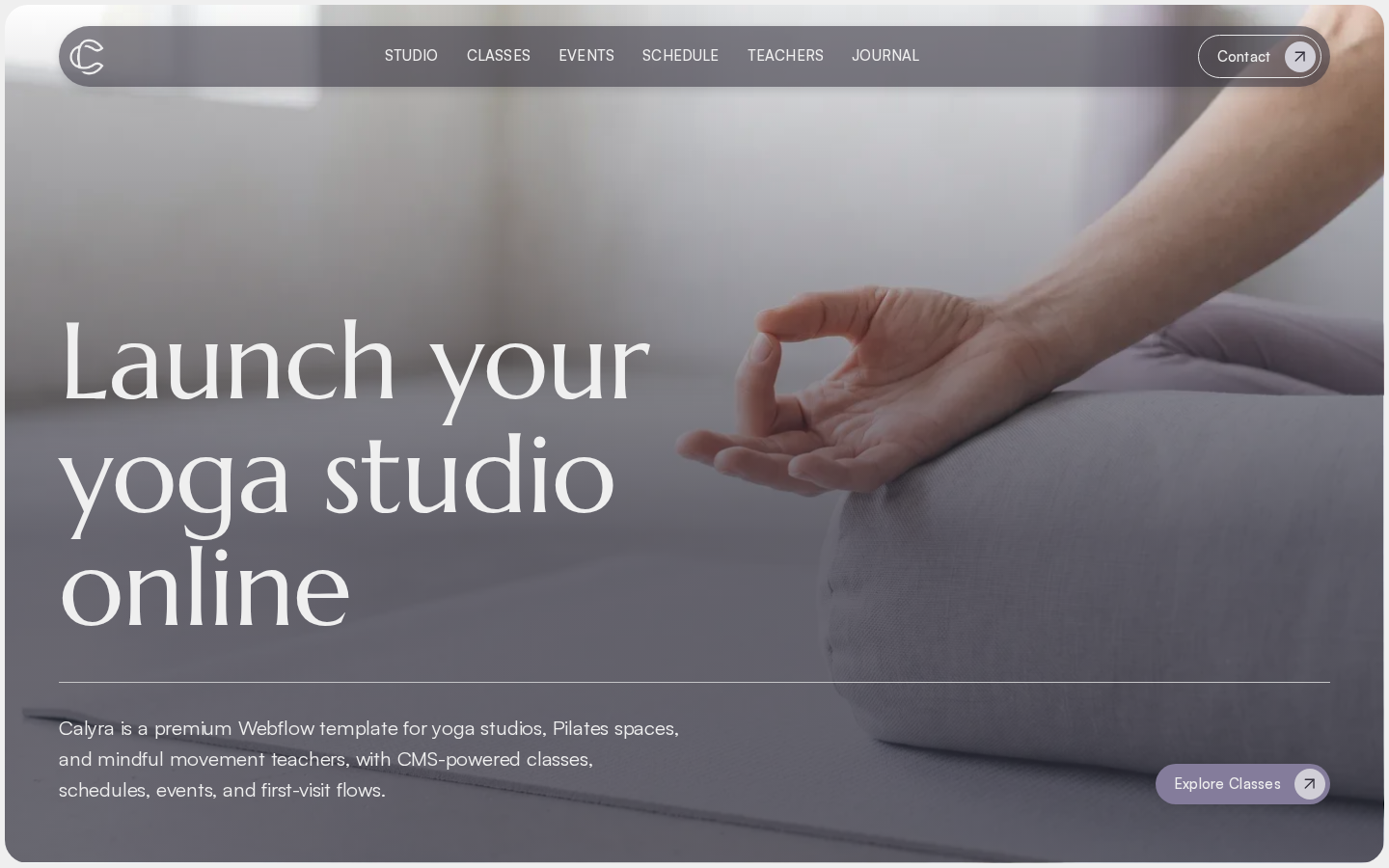 Calyra - Health & Wellness Website Template template preview