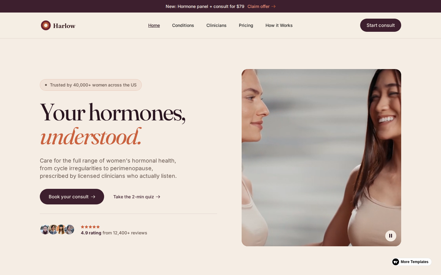 Harlow - Website Template template preview