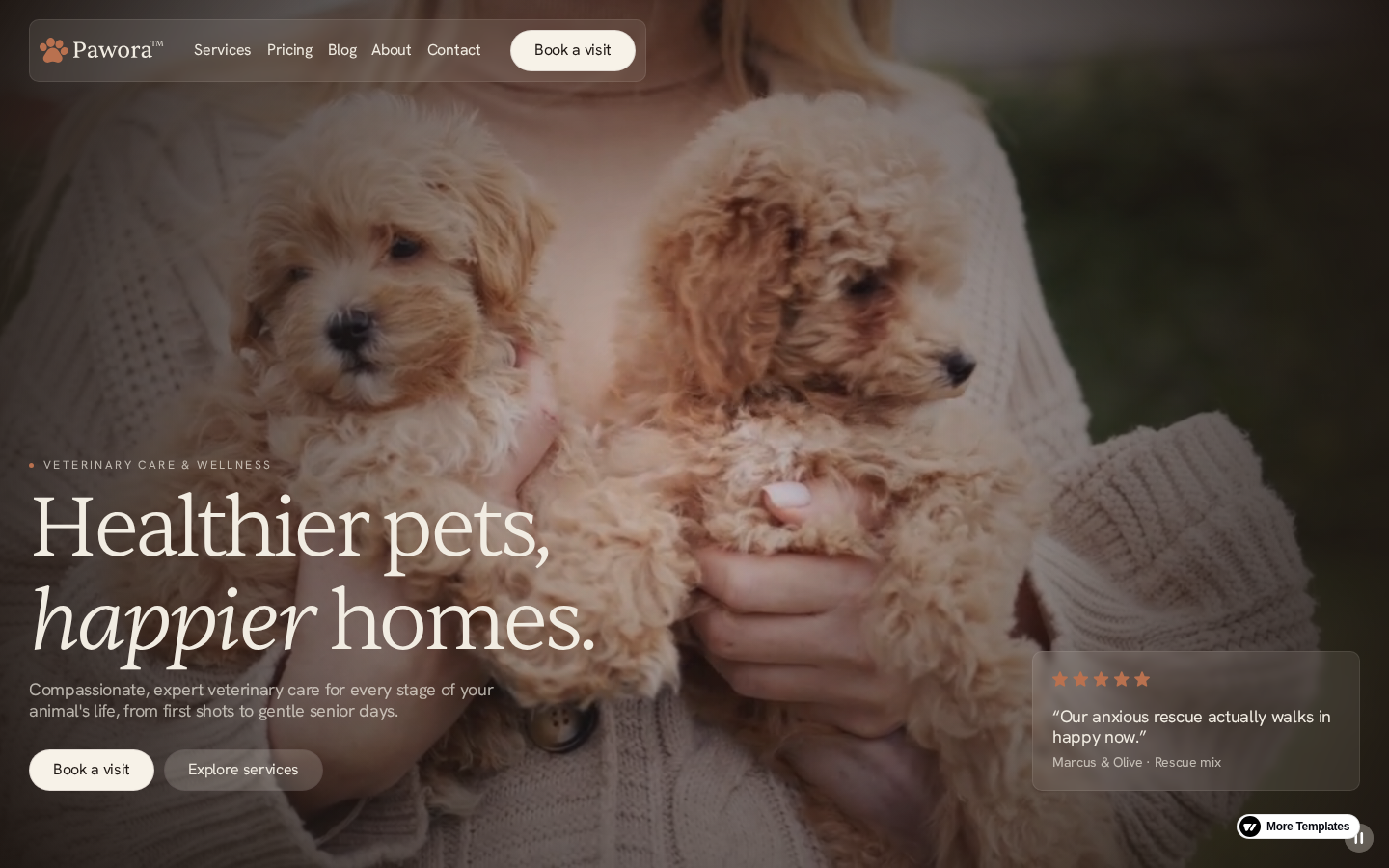 Pawora - Retail & E-Commerce Website Template template preview