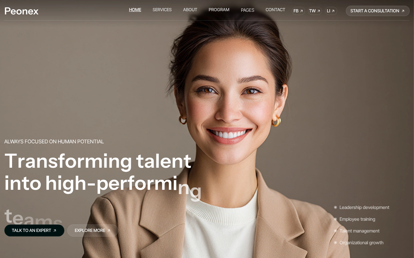 Peonex - Blog & Editorial Website Template template preview