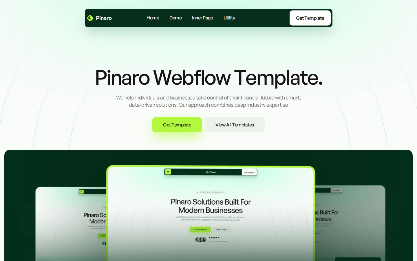 Pinaro - Website Template template preview