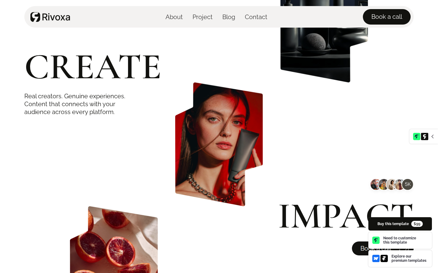 Rivoxa - Professional Services Website Template template preview