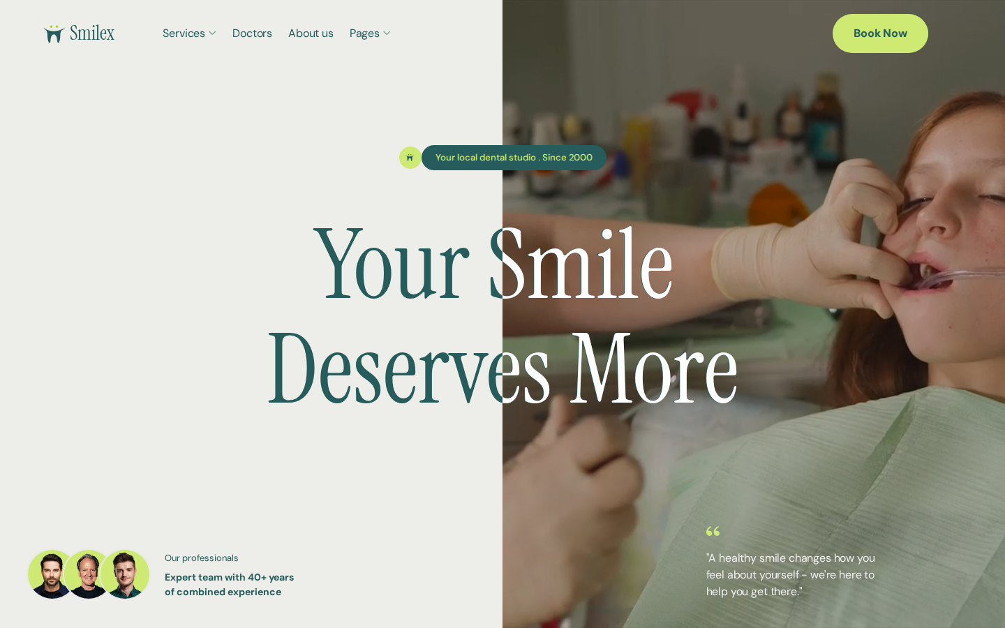 Smilex - Medical Website Template template preview