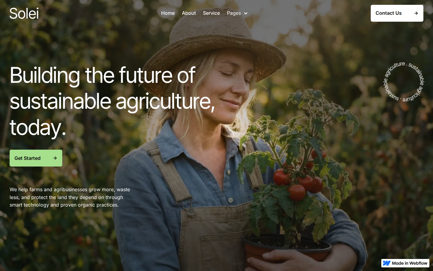 Solei - Website Template template preview