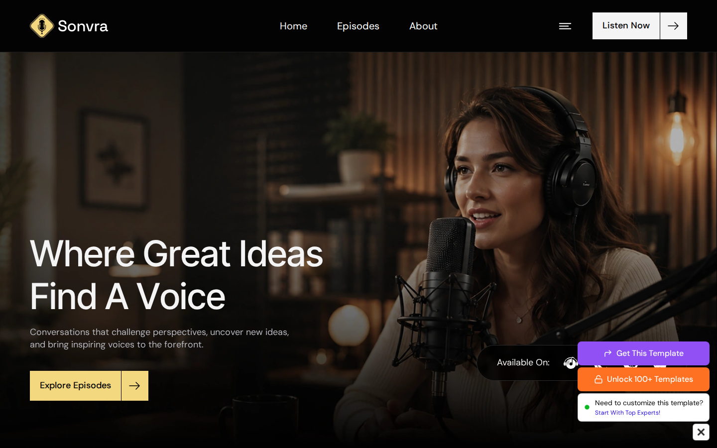 Sonvra - Music & Audio Website Template template preview