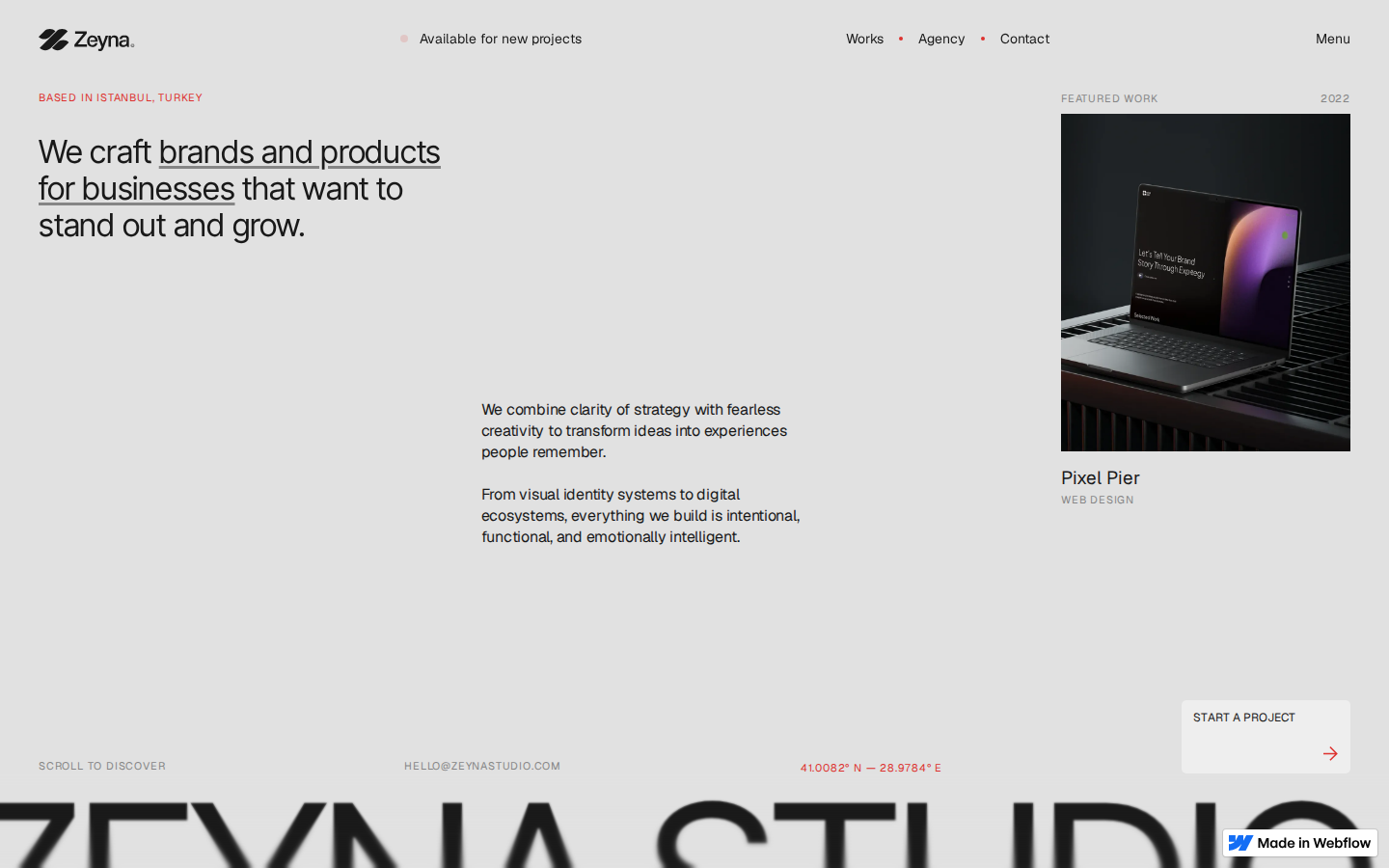 Zeyna - Portfolio & Agency Website Template template preview