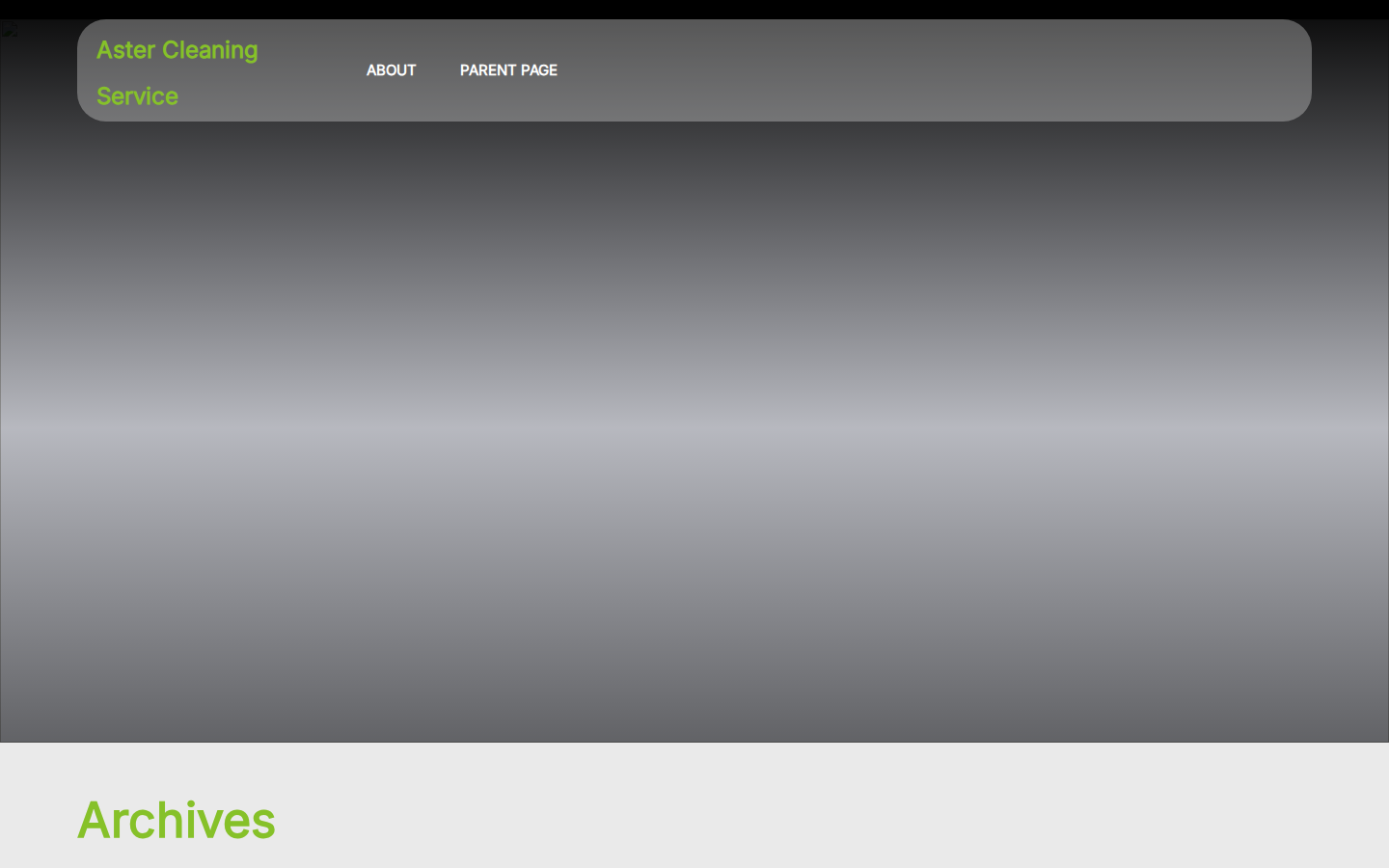 Aster Cleaning Service template preview