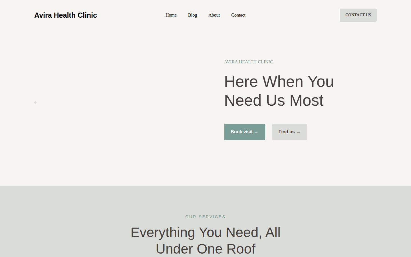 Avira Health Clinic template preview