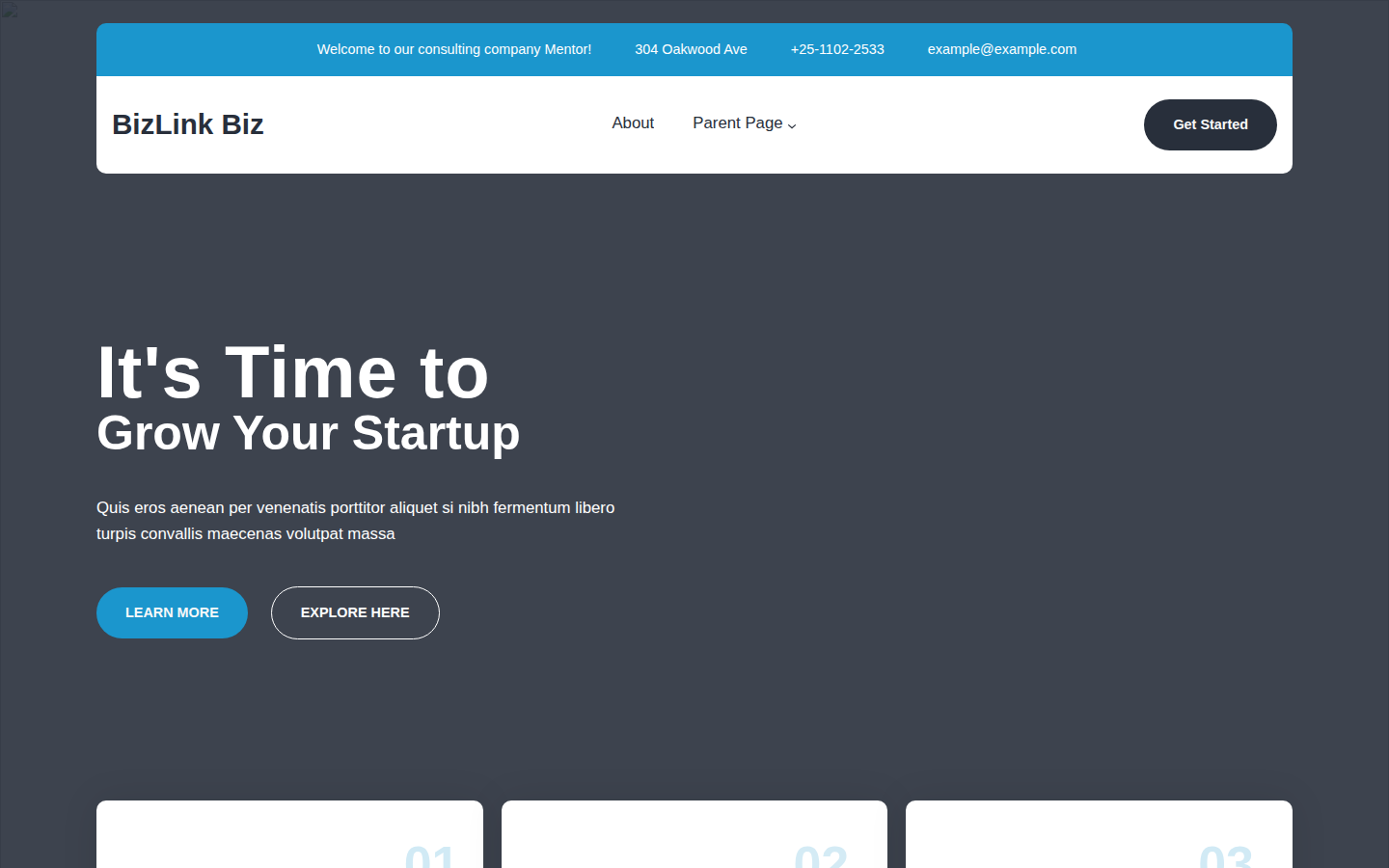 BizLink Biz template preview