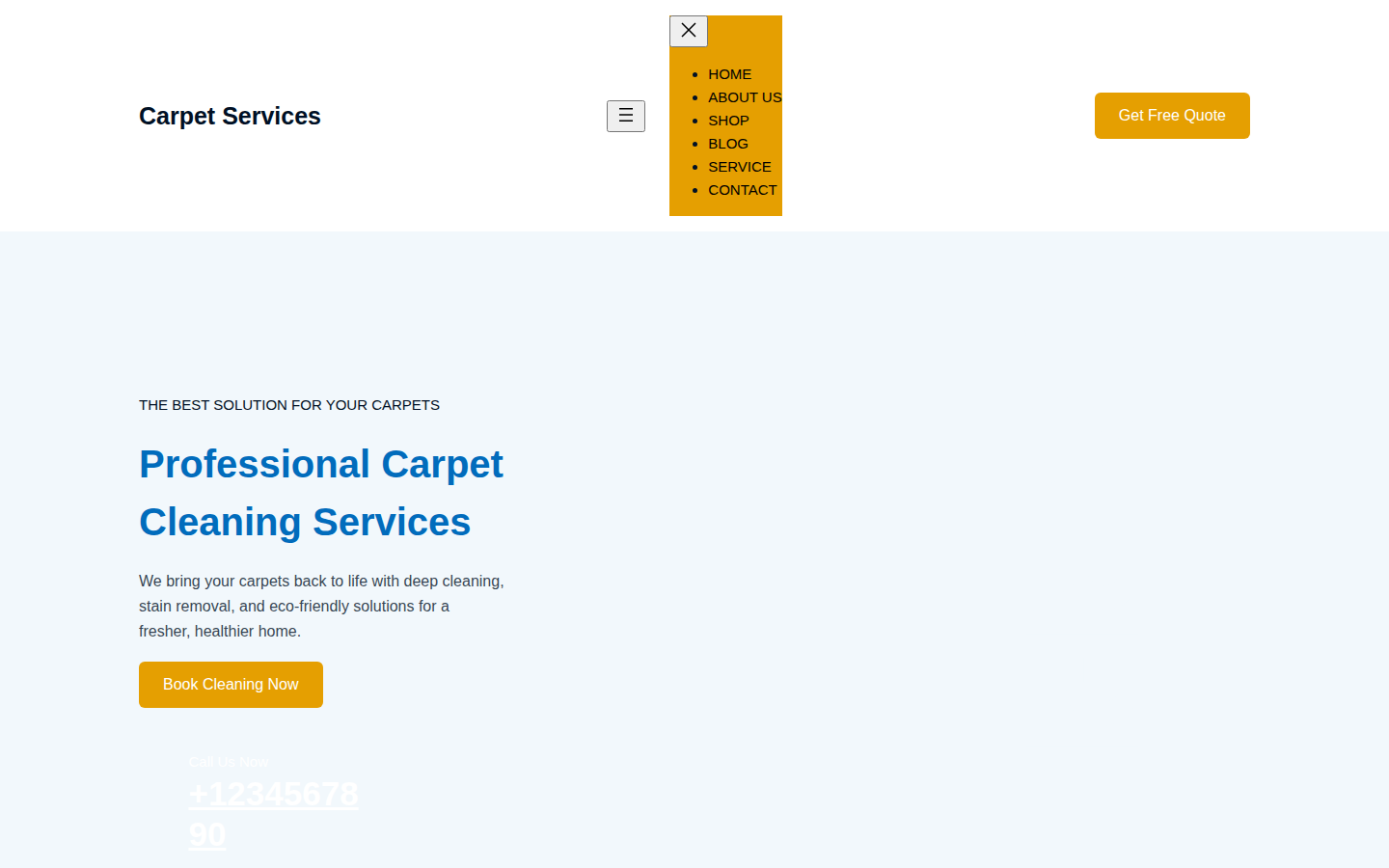 Carpet Services template preview
