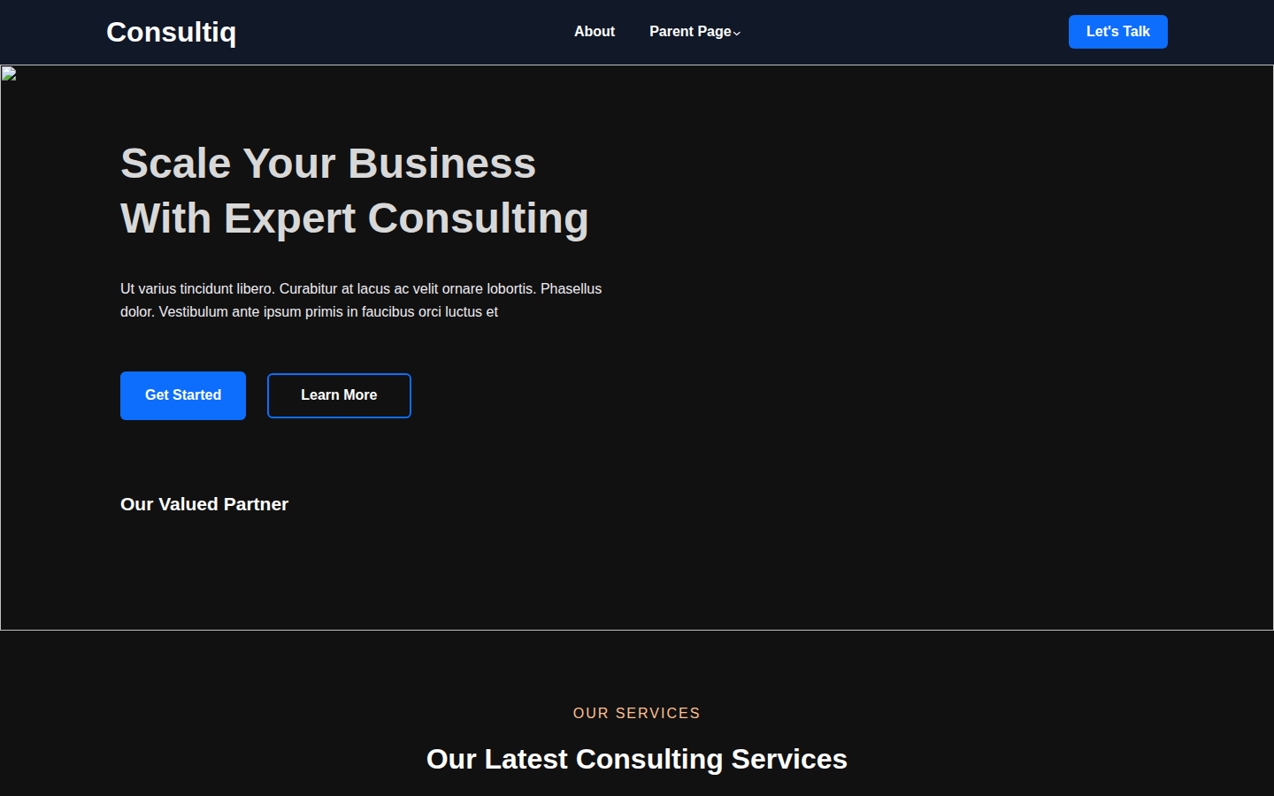 Consultiq template preview