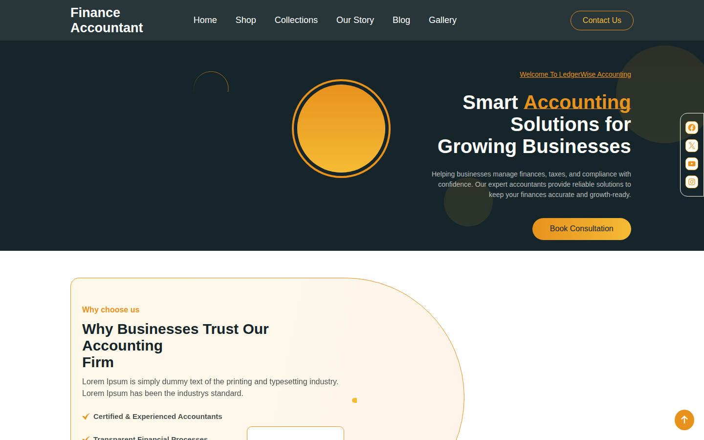 Finance Accountant template preview